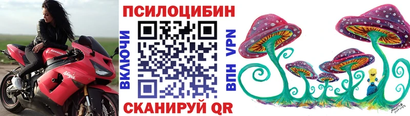 Галлюциногенные грибы Psilocybe  где продают   Фёдоровский 