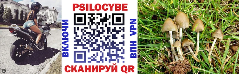 Галлюциногенные грибы прущие грибы Фёдоровский